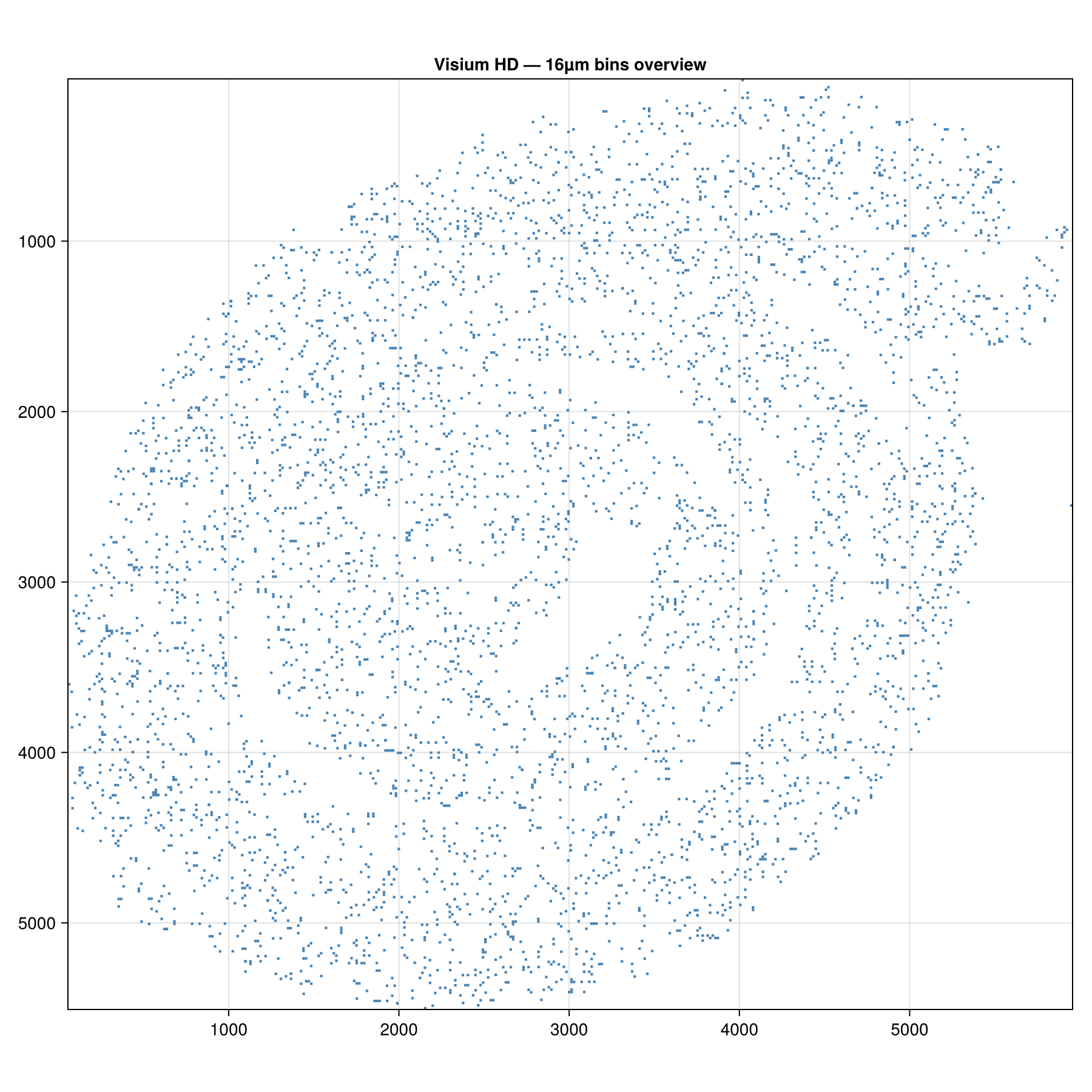 Visium HD bin overview — 16µm resolution, 5k subsampled bins
