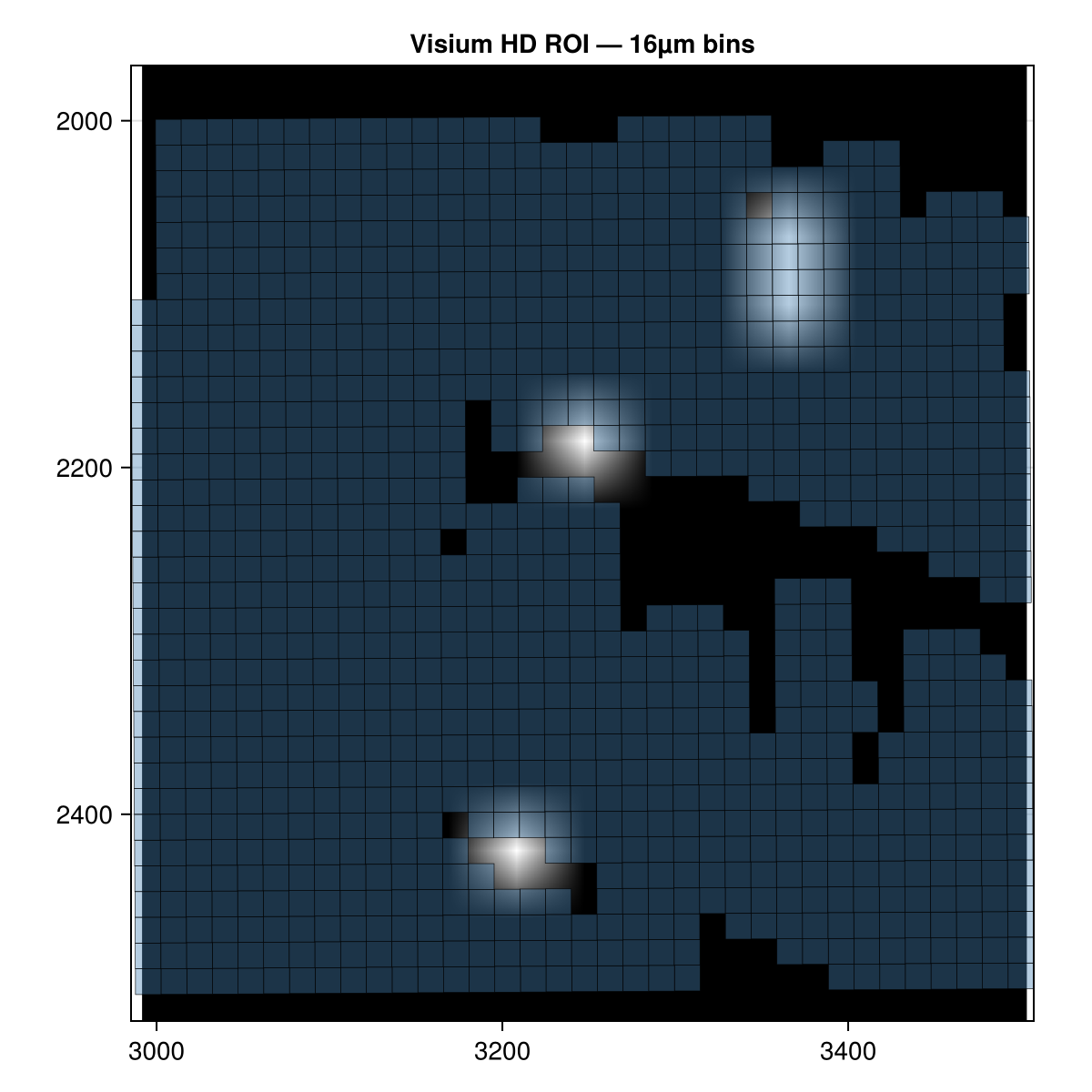Visium HD ROI — lowres image with 16µm bin overlay